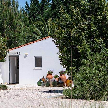 Sete Quintas Country House Salvaterra de Magos Exteriér fotografie